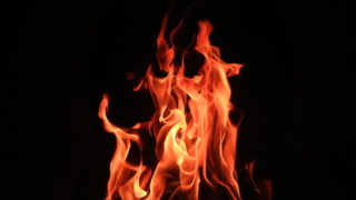 Thumbnail of post image 081
