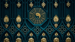 Thumbnail of post image 059